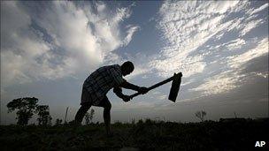 Farmer in Andhra Pradesh