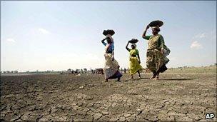 Women farm workers in Andhra Pradesh