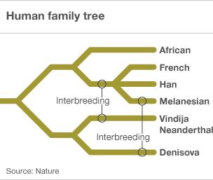 Infographic