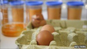 Eggs due to be tested for contamination in Muenster (4 Jan 2011)