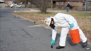 A worker with US Environmental Services, a private contractor, picks up a dead bird in Beebe, Ark. on 1 Jan 2011 as more can be seen on the street behind him.