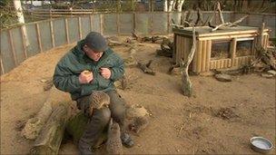 Anthony Binskin with the park's four remaining meerkats