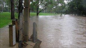 Kalinga Park, Brisbane, Photo: Jane Long