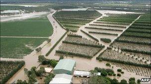 Flooded fields and orchards in the town of Emerald on the outskirts of Queensland
