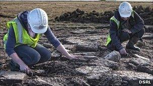 Archaeologists at cairn site. Pic: DSRL