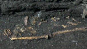 One of the skeletons which was discovered underneath Free Derry Presbyterian Church