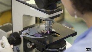 Scientist performing IVF screening