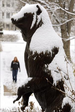 Snow-covered bear statue