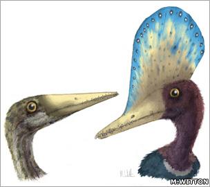 Pterosaurs (Witton)