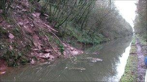 Landslip at the Shropshire Union Canal