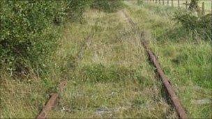 Overgrown old track on the branch line