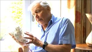 Sir David Attenborough