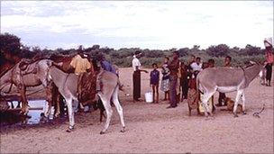 Bushmen in Botswana (file image)