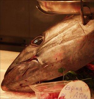 Tuna at a market, Barcelona (Image: BBC)