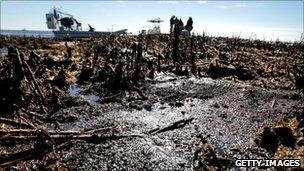 Oil is seen deposited along dead marsh land near Bay Jimmy on January 7, 2011 in Port Sulphur, Louisiana.