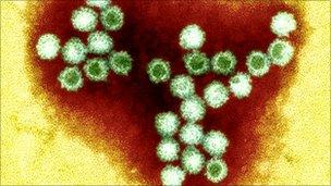 Norovirus