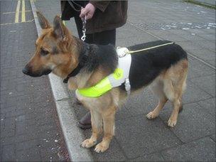 Renton waiting at a kerb