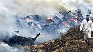 Carcasses at Epynt