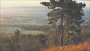 Leith Hill (Picture John Miller/Surrey Hills)