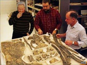 Scientists Mike Taylor, Matt Wedel and Rich Cifelli (UCL)