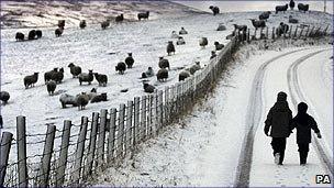 Children walking to school in the snow