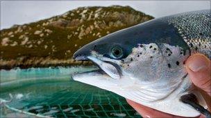 man holding salmon