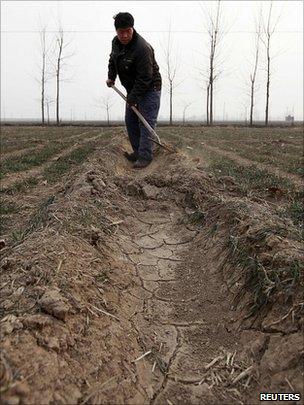 A farmer shovels soil for irrigating a wheat field on the outskirts in northern China