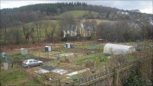 Lampeter Allotment site