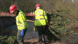 Installing Christmas trees in the Bollin