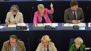 MEPs voting in Strasbourg - file pic