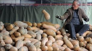 Chinese vendor sorts through a pile of pumpkins at a food market in Hefei, in east China.