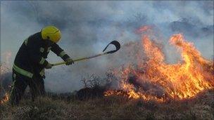 Gorse fire