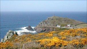 Gorse land in west Cornwall