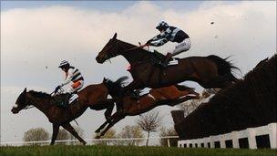 Cheltenham festival