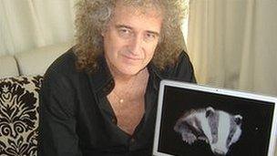 Brian May