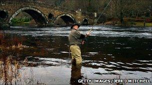 Man fishes for Salmon in the River Tay