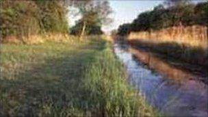 Wicken Fen