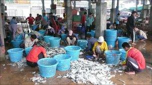 Fishermen sort through the catch