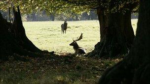 Cornbury Park