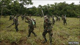 Bolivian soldiers destroying coca plants with machetes