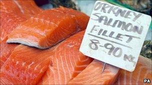 Orkney salmon