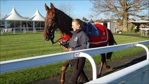 Horse at Newbury Racecourse