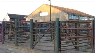 Livestock market in Thrapston.