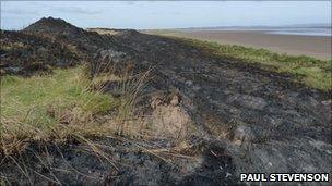 Scene of Holy Island dune fire (pic courtesy of Paul Stevenson)