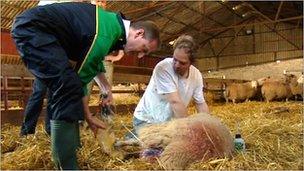 Tavish Scott delivers a lamb