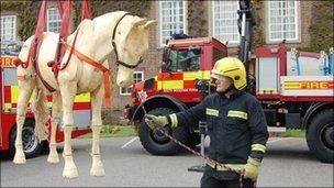 Large animal rescue vehicle