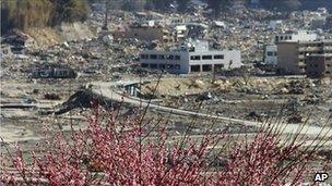 Blossom on a hill over-looking the destroyed city of Rikuzentakata