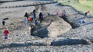 Sand sculpture of a whale on Goodwick Beach