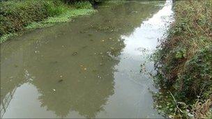 Polluted canal