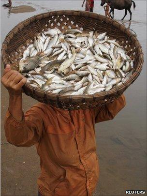 A man carries a fish basket on the Mekong River bank in Laos